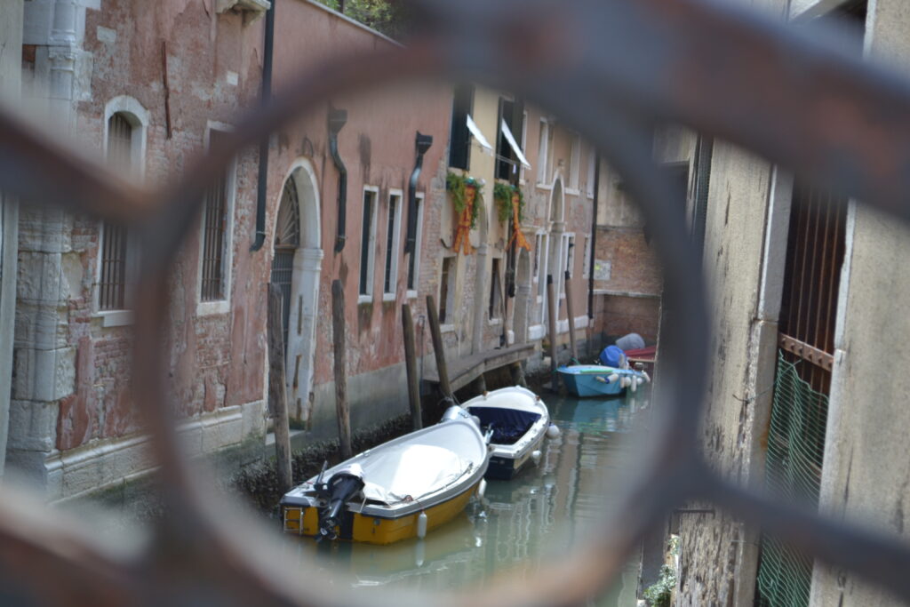 WanderWoman Venice – Licensed tour guide – Nature and interpretive guide