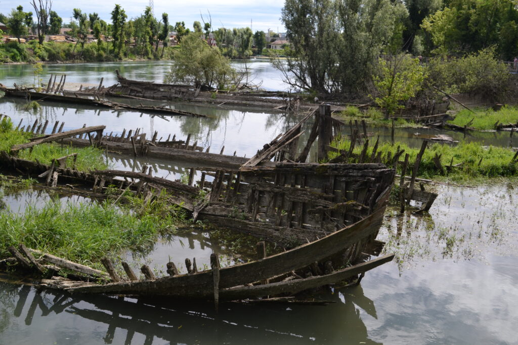 WanderWoman Venice – Licensed tour guide – Nature and interpretive guide