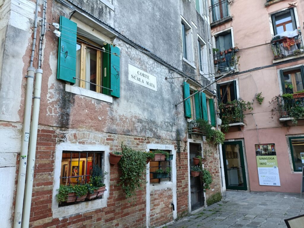 WanderWoman Venice – Licensed tour guide – Nature and interpretive guide