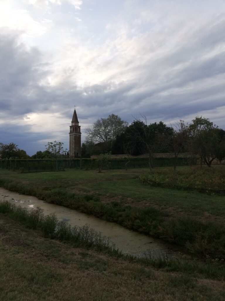 WanderWoman Venice – Licensed tour guide – Nature and interpretive guide