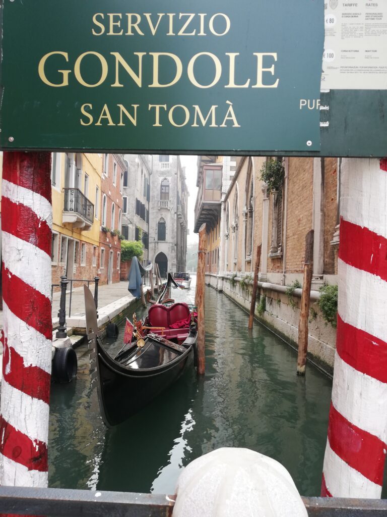 WanderWoman Venice – Licensed tour guide – Nature and interpretive guide