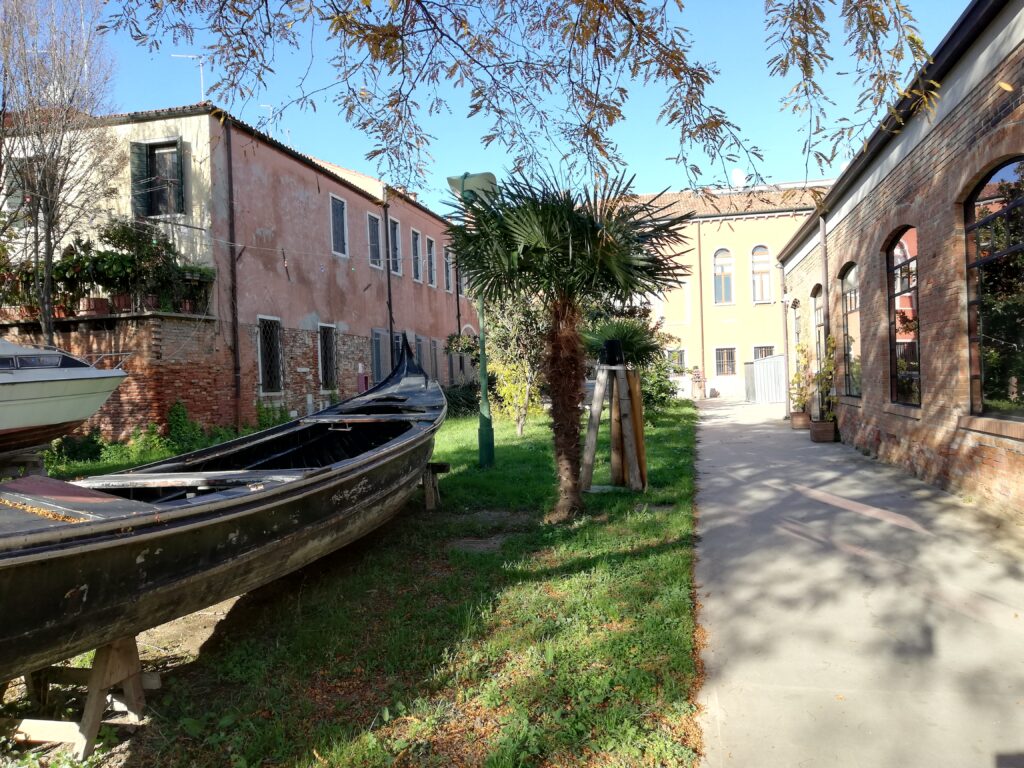 WanderWoman Venice – Licensed tour guide – Nature and interpretive guide