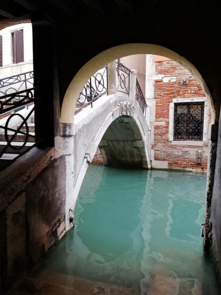 WanderWoman Venice – Licensed tour guide – Nature and interpretive guide