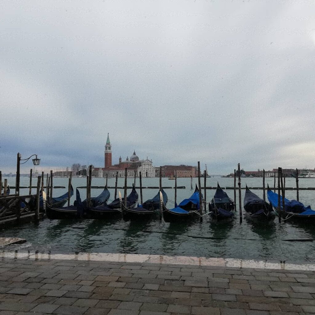 WanderWoman Venice – Licensed tour guide – Nature and interpretive guide