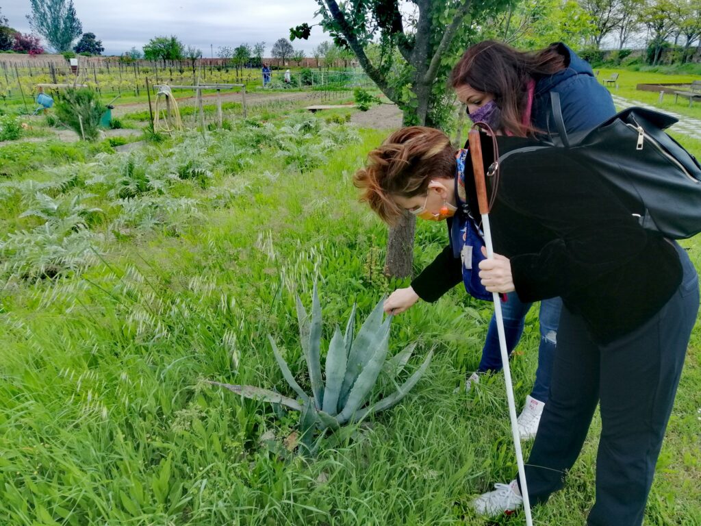 WanderWoman Venice – Licensed tour guide – Nature and interpretive guide