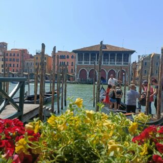 Spring in Venice! 

"The world's favorite season is the spring. All things seem possible in May."
-Edwin Way Teale-

#venicespring #flowersinvenice #giardiniveneziani #veniceflowers #spring #may #veneziaunica❤️ #veniceitaly #flowers